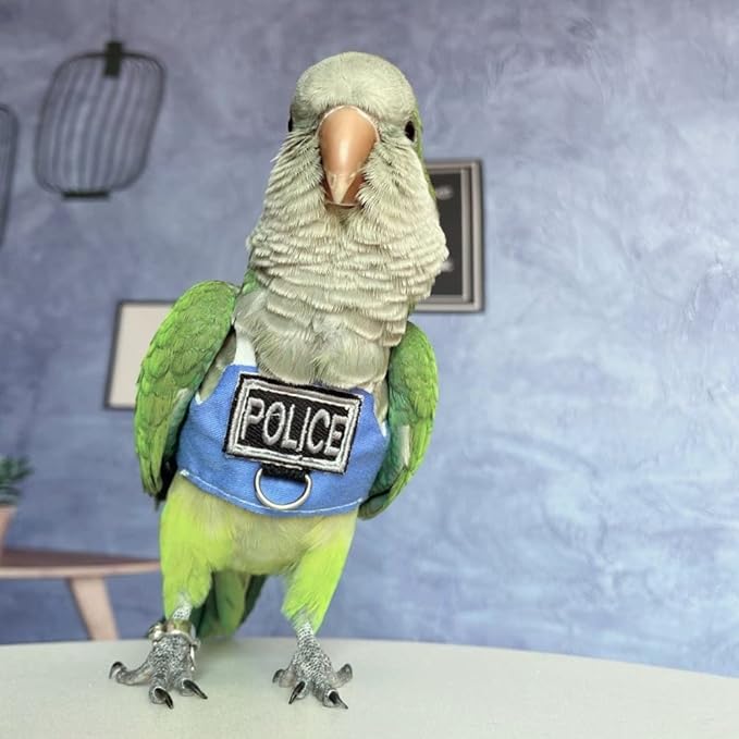 Bird Flight Harness Vest, Parrot Flight Suit with Leash, Bird Flying Clothes with Rope and Handle for Outdoor Activities (Without Leash,Necked Parakeet)