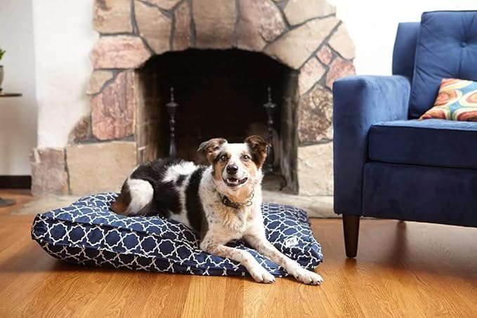 Molly Mutt Sheepy Wool-Filled Crate Pad, GOTS-Certified 100% Organic Cotton Canvas Cover with Soft 100% Natural Wool Insert, Ideal for Dog Bed or Kennel, Forever Young, 24" x 18" x 2.5"