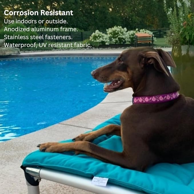 Kuranda Chewproof Elevated Pet Bed - Silver Aluminum - 30" x 20" - Sunsure Textilene - Birch