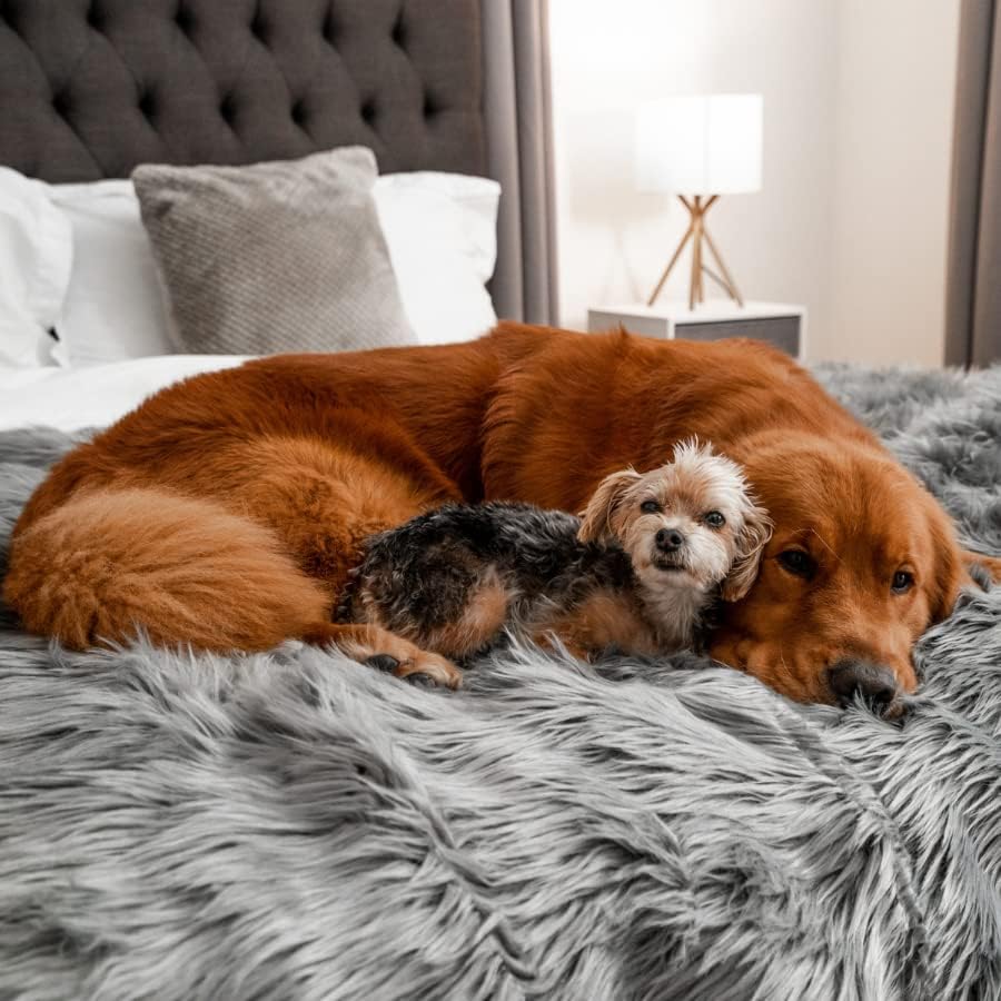 PupProtector Waterproof Throw Blanket for Dogs and Cats, Pet Blanket Cover for Couches, Sofas, Beds, Car Seats, Furniture, Calming Soft Faux Fur, Charcoal Grey, Large (80" L x 62" W)