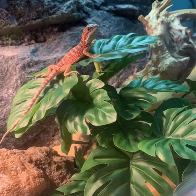 Reptile Plants for Terrarium Decor,Amphibian Habitat Decor,Artificial Plants for Gecko Chameleon Snake Tortoise Tank Accessories with Base (Monstera deliciosa)