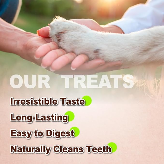 A Freschi srl Turkey Tendons for Dogs, USA-Sourced, Healthy Dog Treats, Rawhide-Free Puppy Chews, Long Lasting, All Natural, Hypoallergenic Dog Treats for Large Breeds, 10 Count Box Rope (L)