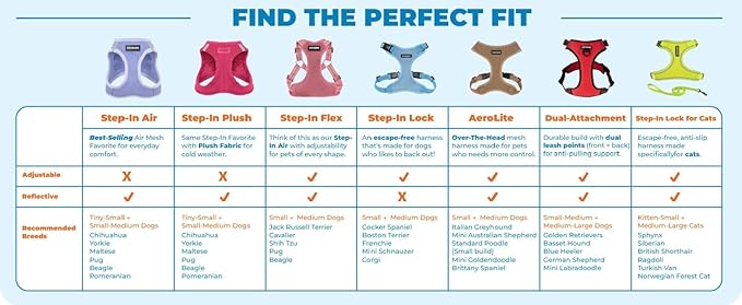 Best Pet Supplies Voyager Adjustable Step-in Flex Breathable Mesh Dog Harness for Small Medium Large Dogs Leash Set (Royal Blue), M