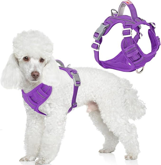 BARKBAY Dog Harness No Pull with ID Tag Pocket - Heavy Duty, Reflective, Easy Control for Large Dogs(Purple,XS)