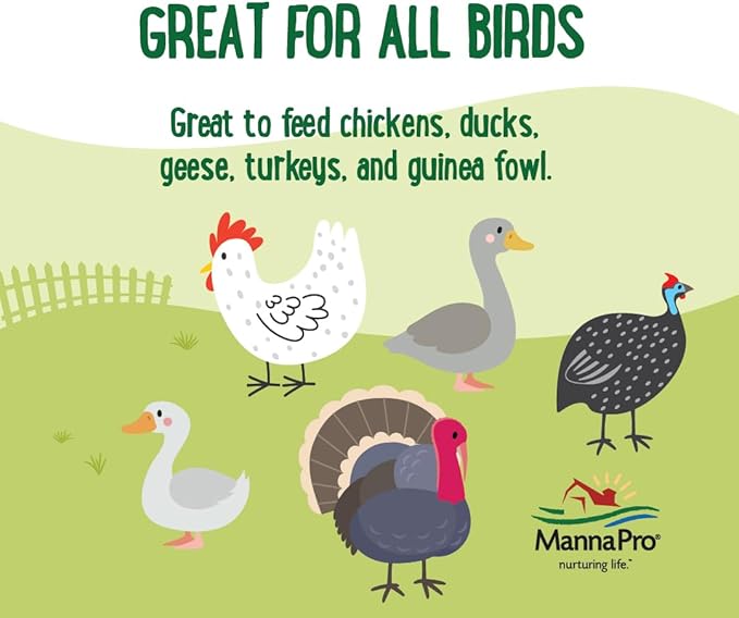 Manna Pro Farmhouse Favorites Beetle Bliss Poultry Treat – Blend of Mealworms and Beetles – All Natural Treat for Chickens, Ducks, Geese, Turkeys, & Guinea Fowl – 45% Protein – 2lb Bag