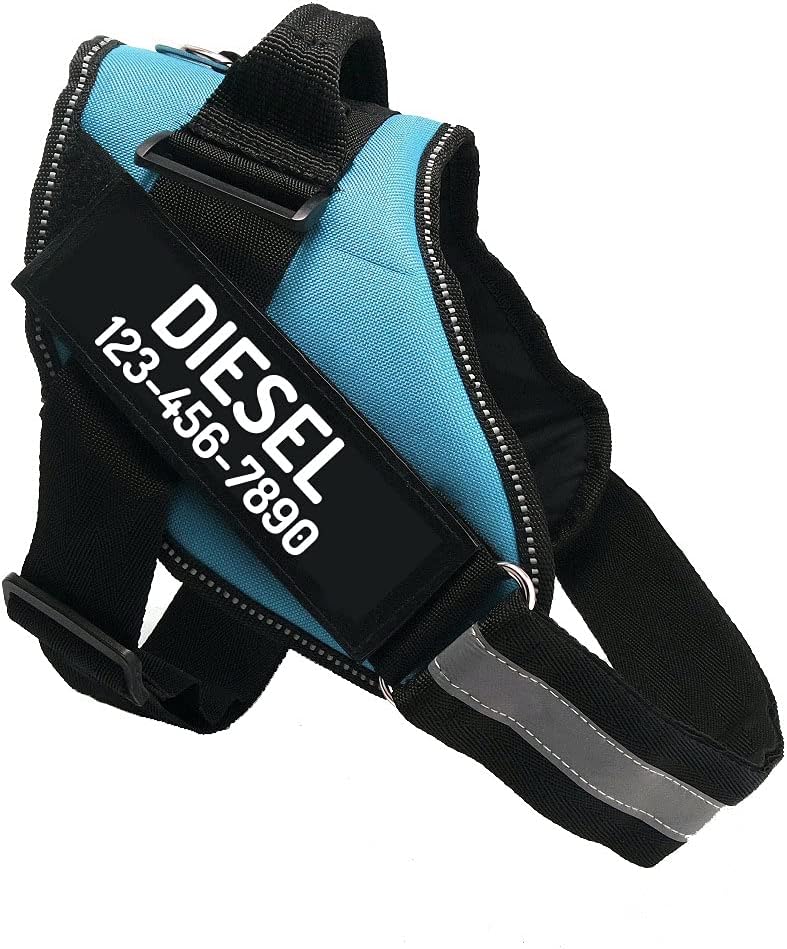 PawPawify Custom No Pull Dog Harness with Name and Phone Number, Heavy Duty Personalized Pet Vest to Prevent Tugging, Pulling, or Choking, Training and Walking (SkyBlue, M (20-40 LBS))
