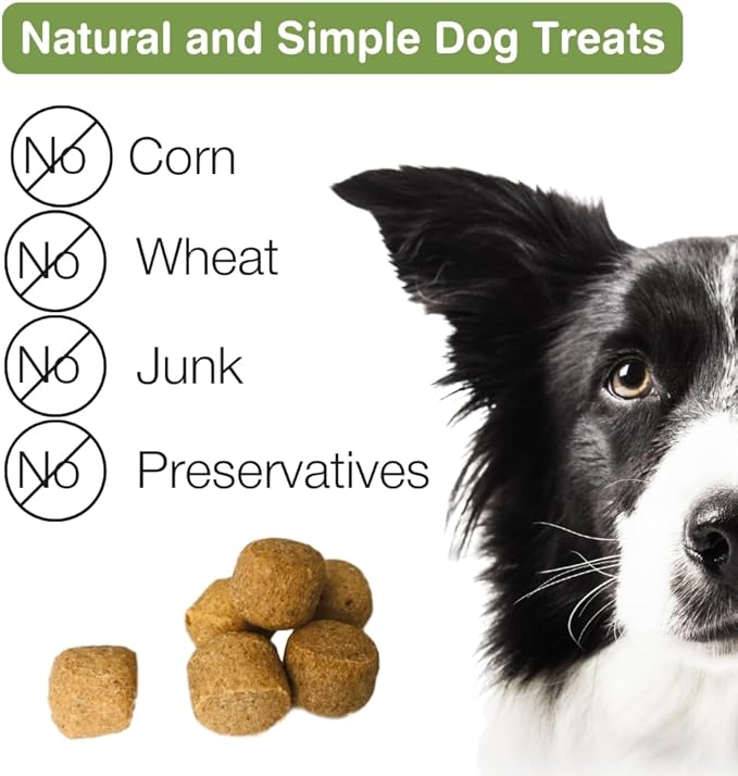 Peanut Butter & Carob Chips Dog Treats – Healthy, Crunchy, Vegan Biscuits with Whole & Real Ingredients – All Natural & USA‐Baked, (7 Ounce, Pack of 3)