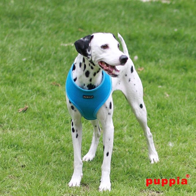 Puppia Soft Dog Harness No Choke Over-The-Head Triple Layered Breathable Mesh Adjustable Chest Belt and Quick-Release Buckle, Sky Blue, Small