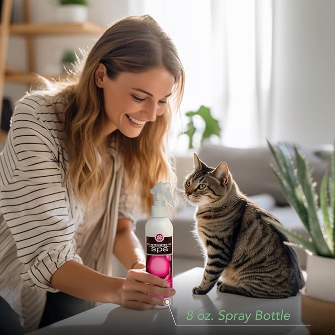 Best Shot Scentament Spa Botanical Body Splash, Detangler Spray, Body Spray for Pets, Cat and Dog Cologne Spray, Wild Orchid Vanilla, 8 Oz.
