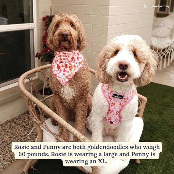 Lucy & Co. Cute Reversible Dog Harness Walking Halter - Best Designer Pet Harnesses for XS - XL Dogs - Padded Adjustable Vest for Easy Walking. (Howdy, Honey Reversible Harness).