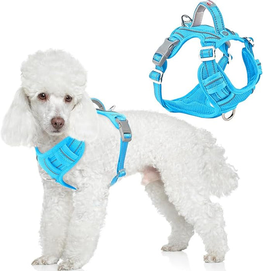 BARKBAY Dog Harness No Pull with ID Tag Pocket - Heavy Duty, Reflective, Easy Control for Large Dogs(Blue,XS)