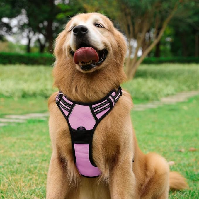 rabbitgoo Dog Harness No Pull with 2 Leash Clips, Adjustable Soft Padded, Reflective Oxford No Choke Pet Vest with Easy Control Handle for Large Dogs, Pink, L