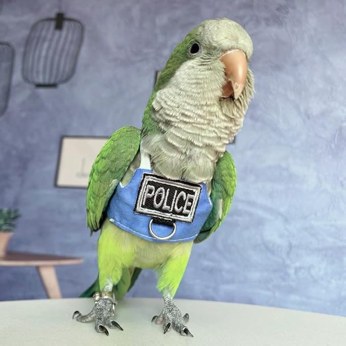 Bird Flight Harness Vest, Parrot Flight Suit with Leash, Bird Flying Clothes with Rope and Handle for Outdoor Activities (Without Leash,Green Quaker)
