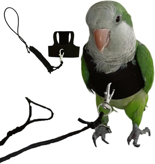 Bird Flight Harness Vest, Parrot Flight Suit with Leash for Parakeets Cockatiels Conures Budgies, Bird Flying Clothes with Rope and Handle for Outdoor Activities Training, Anti Bite (Medium)