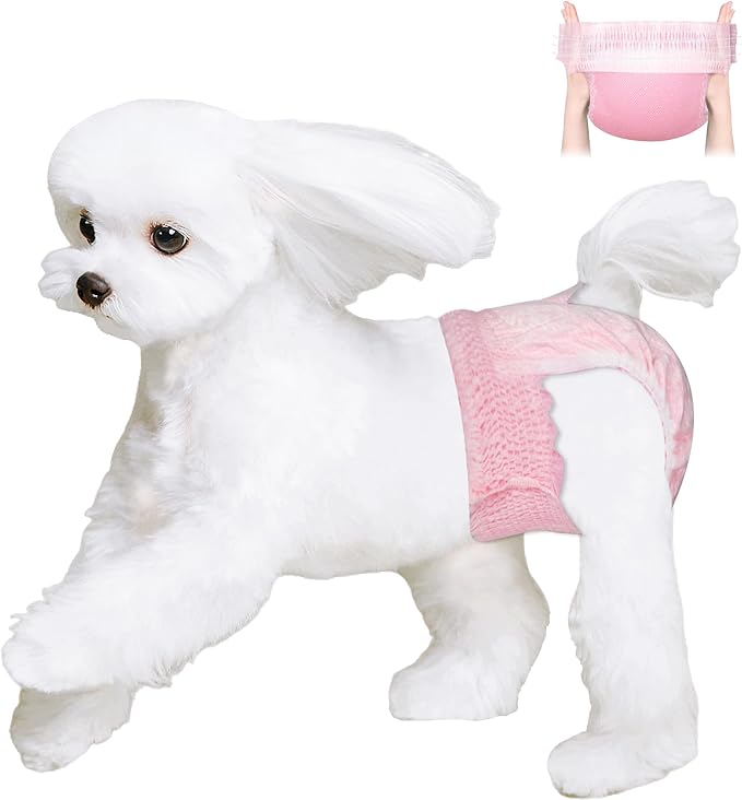 Ambreview Disposable Dog Diapers Female, Just Pull It Up, Doggie Diapers for Female Dogs, Strong Absorbency | Leak Proof, for Dogs in Heat | Elderly | Disabled, XS 100 PCS