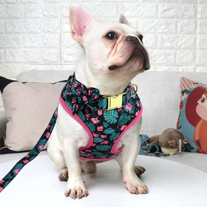 Beirui Cute Girl Dog Collars, Harnesses & Leashes Set - Adjustable Dog Collar and Leash Set with Flower - Soft Mesh Dog Vest Harness for Puppies Small Medium Dogs (Green,M)