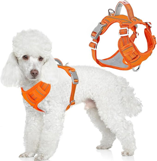 BARKBAY Dog Harness No Pull Oxford with ID Tag Pocket - Heavy Duty, Reflective, Easy Control for Large Dogs(Pumpkin Oxford,XS)