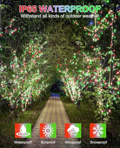 40FT 120 LED Christmas Lights Outdoor