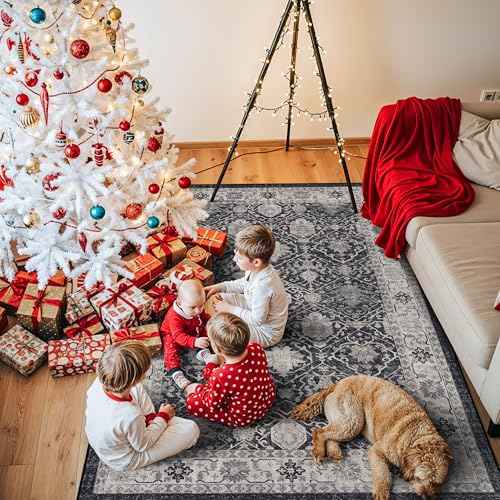 4x6 Living Room Area Rugs (24 Sq Ft)