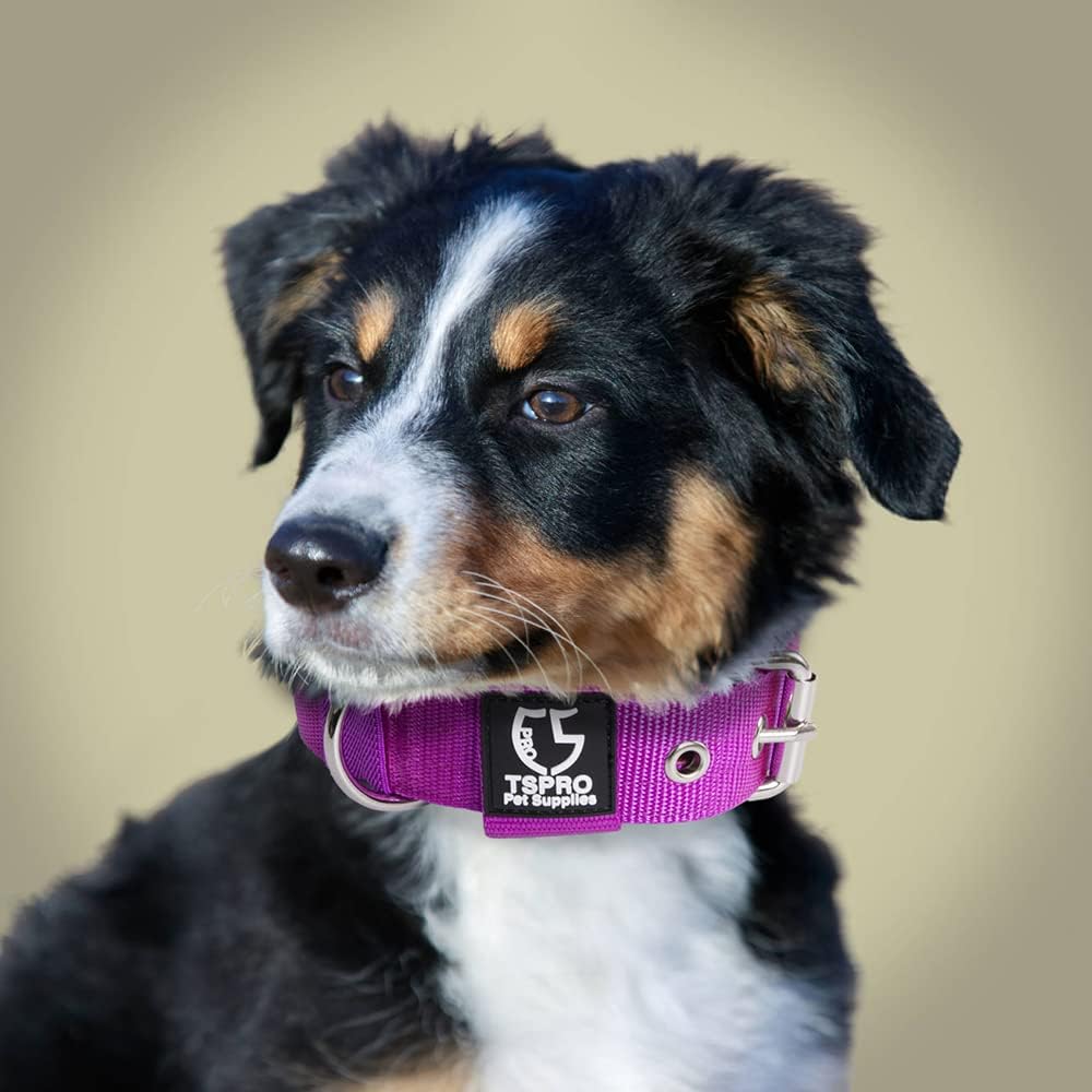 TSPRO Tactical Dog Collar 1.25 Inch Wide Thick Dog Collars with Heavy Duty Metal Buckle, Durable, Strong, Adjustable for Small Dogs (Orange S)