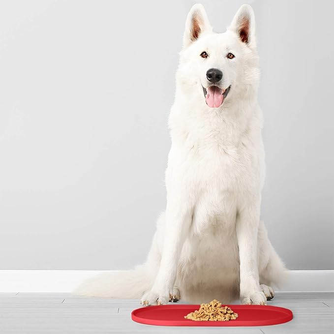 DogBuddy Dog Food Mat - Waterproof Dog Bowl Mat, Silicone Pet Mat for Food and Water Bowls, Nonslip Pet Feeding Mat With Edges, Dogs Food Mats For Floors, Puppy Supplies (Small, Red)