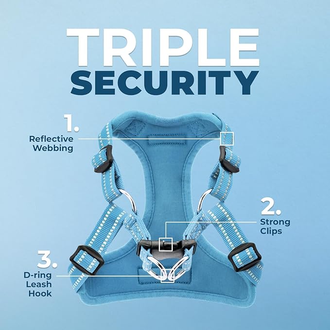 Best Pet Supplies Voyager Adjustable Step-In Flex Breathable Mesh Dog Harness for Small Medium Large Dogs (Baby Blue), S