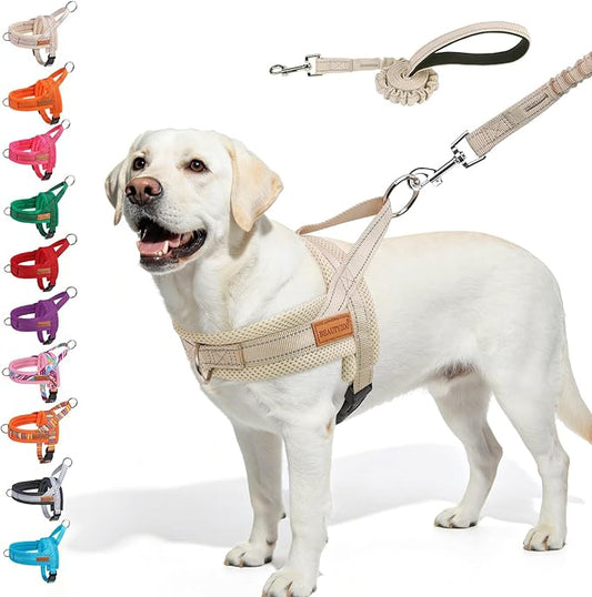 BEAUTYZOO Dog Harness for Small Dogs, No Pull Dog Harness and Leash Set, Soft Escape Proof Puppy Vest Harness with Handle, Reflective Lightweight Step in Harness for Girl Boy Dogs, Beige L