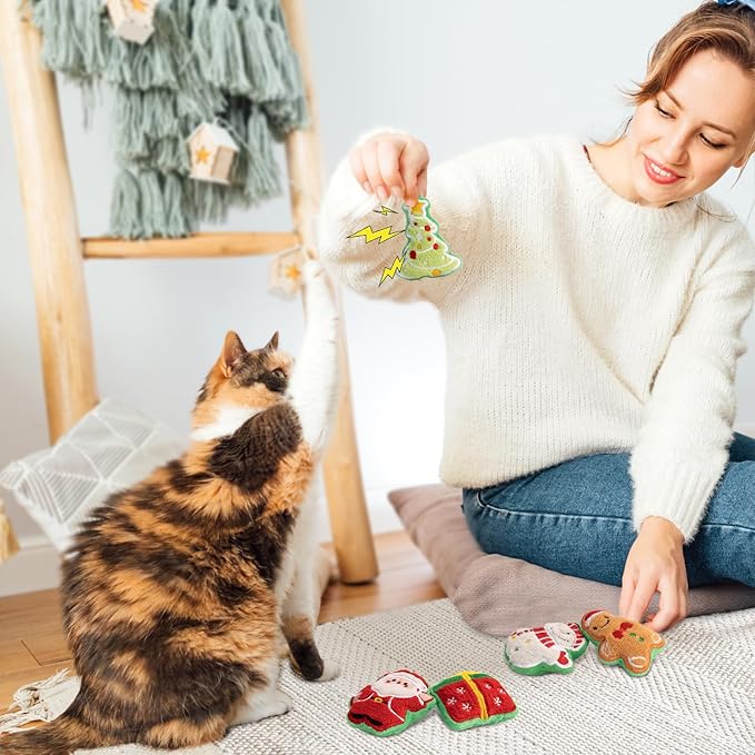 Retro Shaw Christmas Cat Toys, Xmas Catnip Toys for Indoor Cats Kitten Teeth Cleaning, Crinkly Interactive Cat Chew Nip Kitty Kicker Toy Santa Claus Trees Snowman, 5 Pack