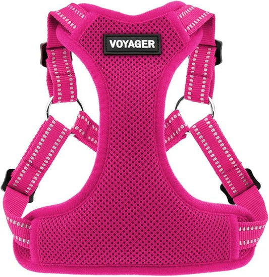 Best Pet Supplies Voyager Adjustable Step-in Flex Breathable Mesh Dog Harness for Small Medium Large Dogs (Fuchsia), XS