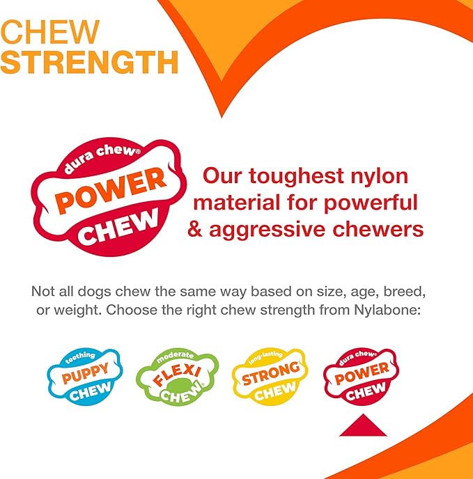 Nylabone Power Chew Groove Bone - Dog Toys for Aggressive Chewers - Durable Dog Toy for Small Breeds - Small Dog Chew Toys - Flavor Medley, Small, Up to 25 Ibs. (1 Count)