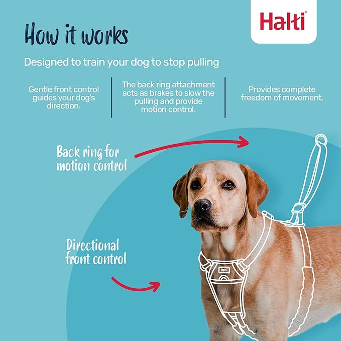 Halti No Pull Harness - Stop Your Dog Pulling on The Leash. Adjustable, Lightweight and Easy to Use. Reflective Dog Training Harness for Toy and Small Dogs (Size XS, Desert Sand)