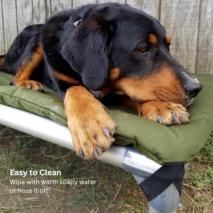 Kuranda Chewproof Elevated Pet Bed - Silver Aluminum - 35" x 23" - Sunsure Textilene - Sierra