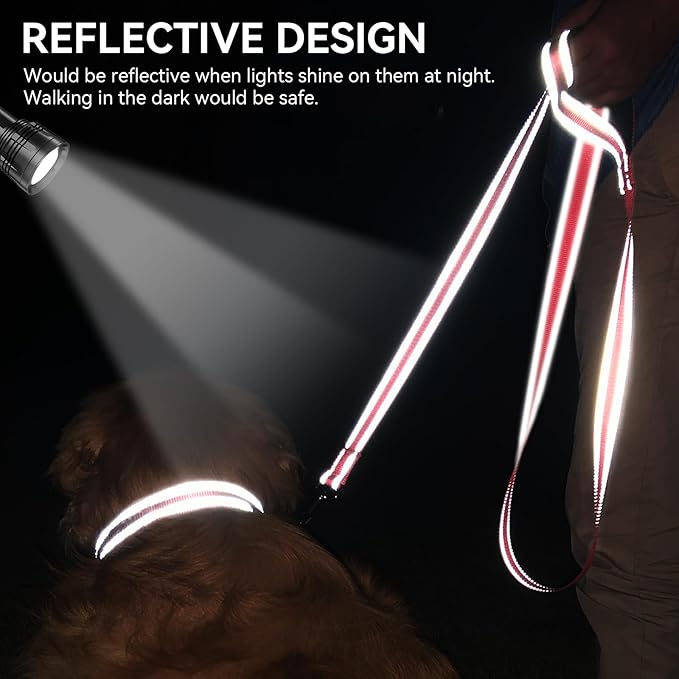 Joytale Dog Leash, 4 FT Double-Sided Reflective, Padded Handle Nylon Heavy Duty Leashes for Medium & Large Dogs Walking, Neon Pink