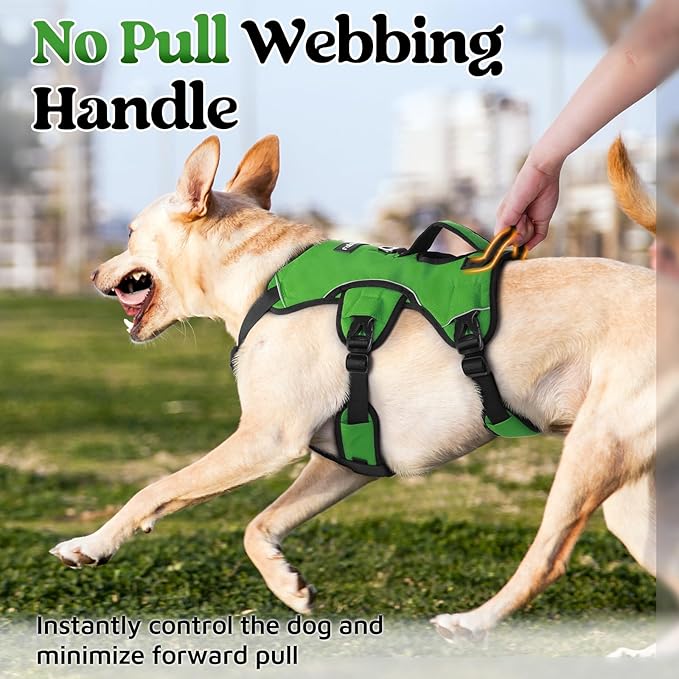 rabbitgoo Escape Proof Dog Harness, Soft Padded Full Body Pet Harness, Reflective Adjustable No Pull Vest with Lift Handle and Lesh Clip for Large Dogs Walking Hiking Training, L, Green