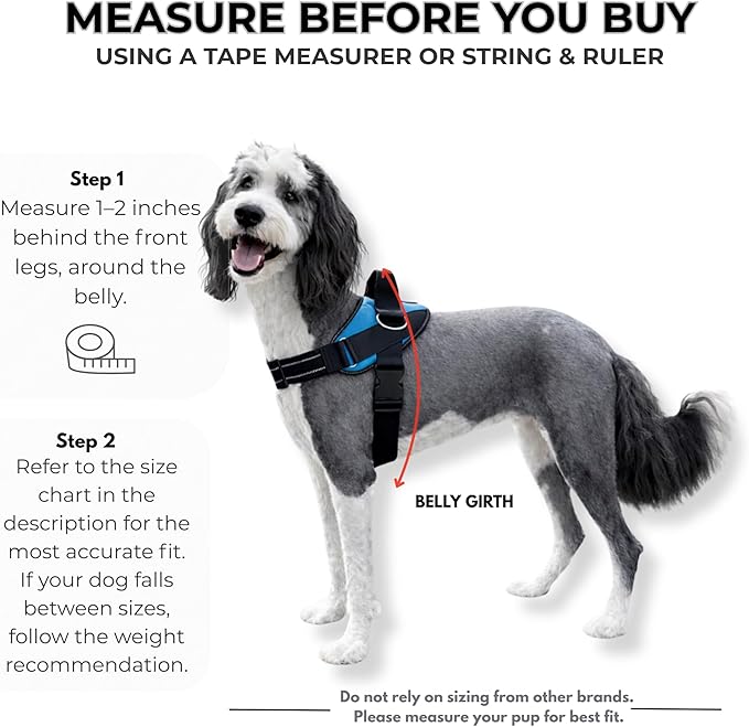ShawnCo Essential Dog Harness, No-Pull Pet Vest with 3 Leash Clips, No Choke, Reflective, Adjustable and Padded, for Easy Walking and Training for Small, Medium and Large Dogs (Moonglow, M)