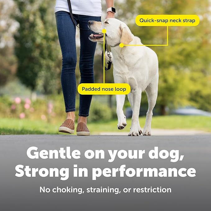 PetSafe Gentle Leader Headcollar No-Pull Dog Collar - Helps Improve Walks - Durable Nylon Construction - Padded Nose Loop - Adjustable Fit - Comfort Walking Halter - Small, Silver