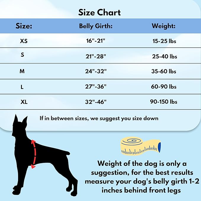ShawnCo Dream Walk No-Pull Dog Harness- Adjustable, Comfortable, Easy to Use Pet Halter to Help Stop Pulling for Small, Medium and Large Dogs (Pacific Blue, S)