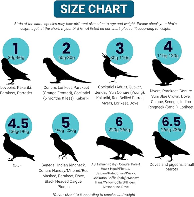 Bev's Bird Boutique Regular Flyper Adjustable Bird Diaper | Reusable, Washable Cloth | Comfort Fit for Parrot, Cockatiels, & Other Small Birds | Fashionable Avian Accessories, Retro Tux, Size 8
