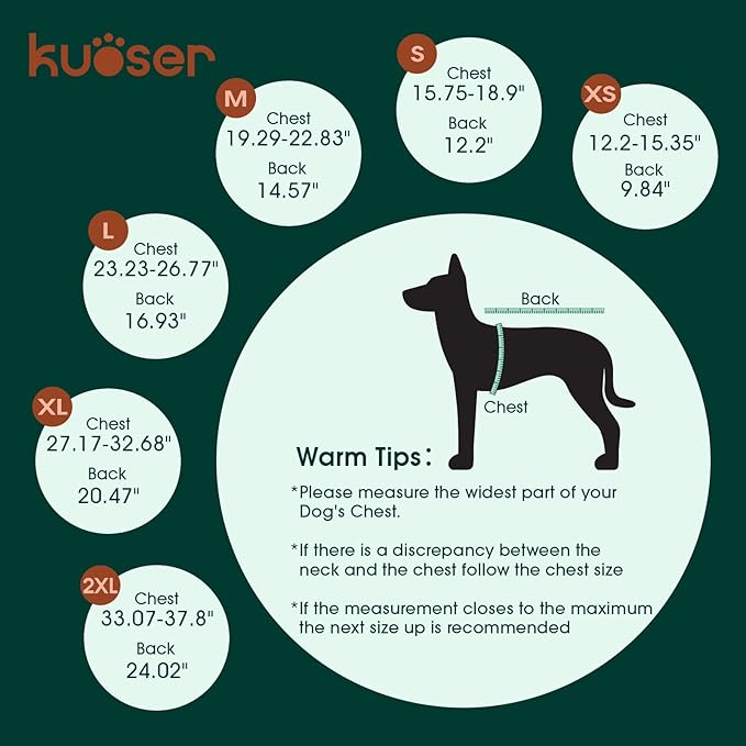 Kuoser Dog Surgery Recovery Suit, Thigh Wound Protective Sleeve for Dogs, Dog Recovery Sleeve for Female Male Dogs, Pet Surgical Suit for Spay Neuter, Dog Onesie After Surgery, Gray S