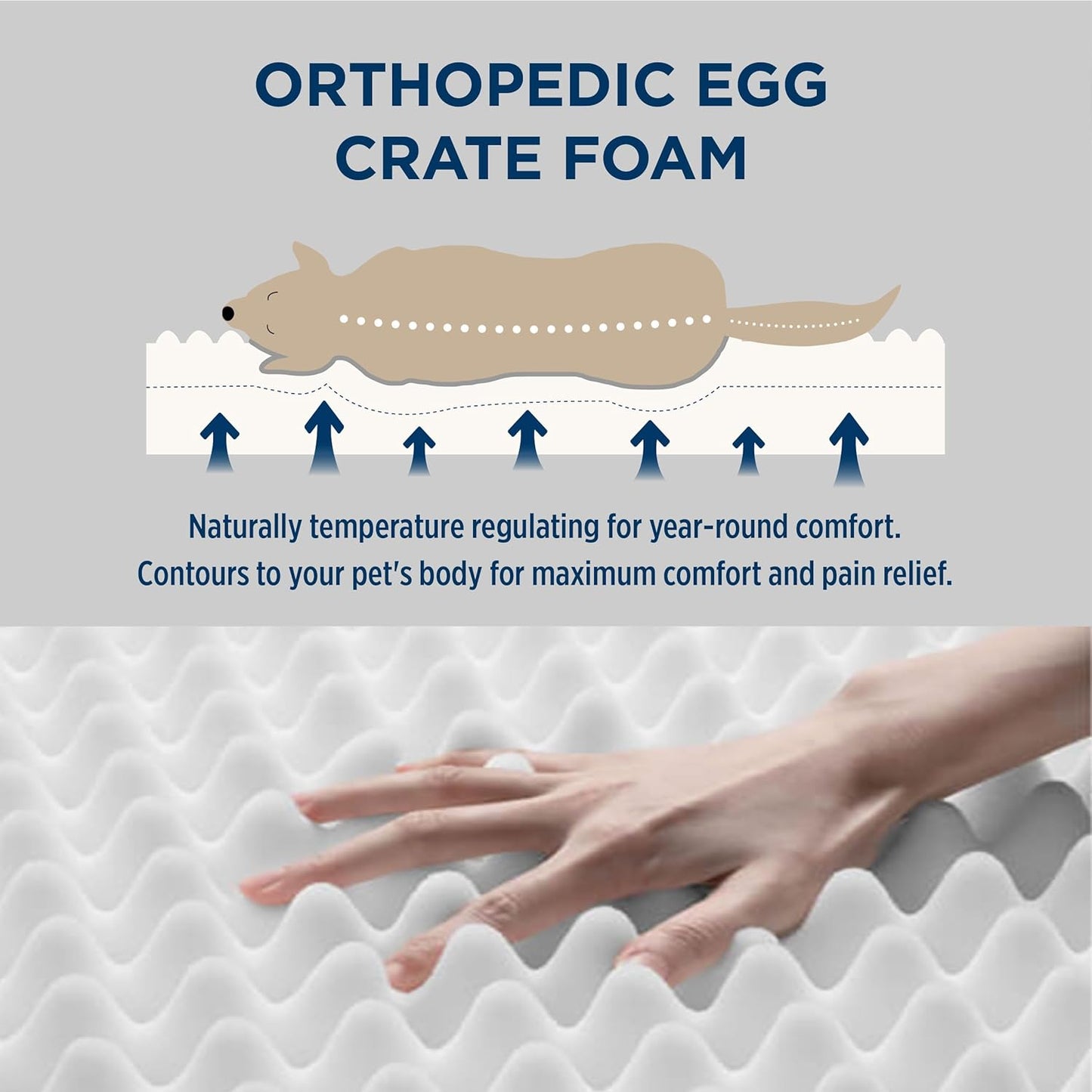 Bedsure Large Dog Bed for Crate - Orthopedic Flat Pet Beds with Removable Washable Cover, Egg Crate Foam Crate Mat, Suitable for Pet Up to 50 lbs
