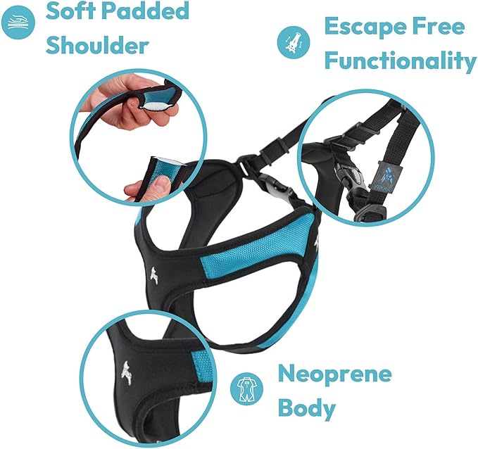 Gooby Escape Free Easy Fit Harness - Black, Small - No Pull Step-in Patented Dog Harness with Quick Release Buckle for Small to Medium Dogs