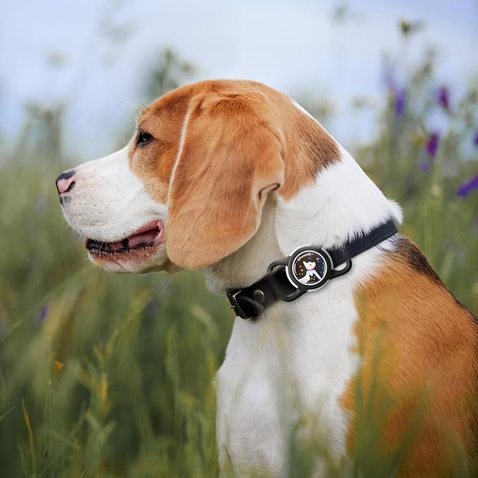 Waterproof Airtag Dog Collar Holder, Silicone & ABS Airtag Holder for Dog & Cat Collars, Ultra-Durable, Lightweight and Protective Airtag Case (Rose-1, Regular)