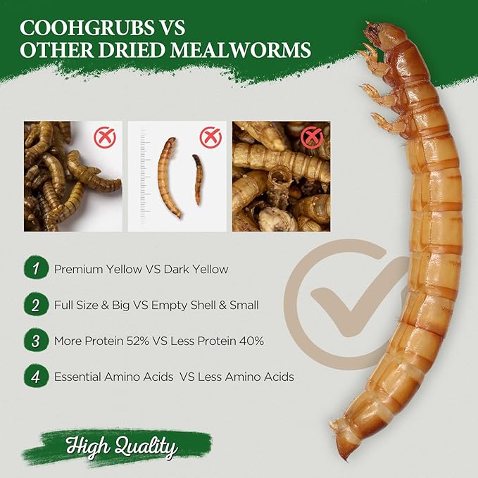Dried Mealworms for Birds, Non-GMO High Protein Chicken Treats & Poultry Feed, 5 lb Bag