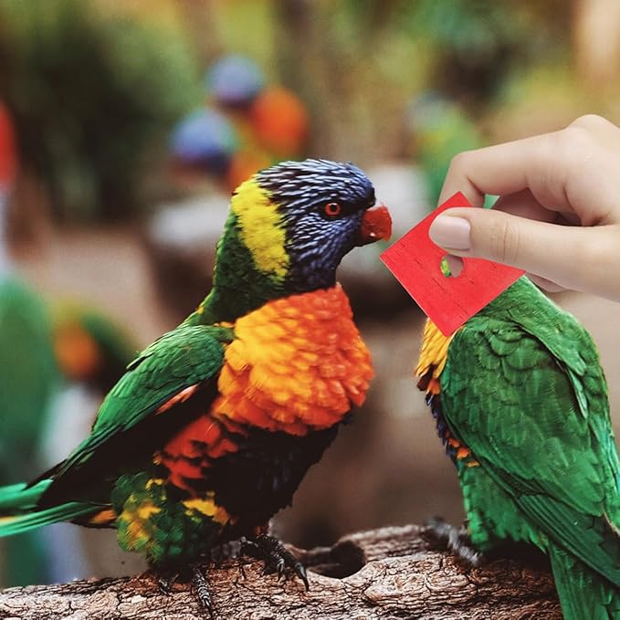 SUPVOX Bird Toys,100 Pcs Wooden Bird Chewing Blocks: Bird Toys for Parrots,Parrot Toys for DIY Shredding Large Bird (Mixed Color)