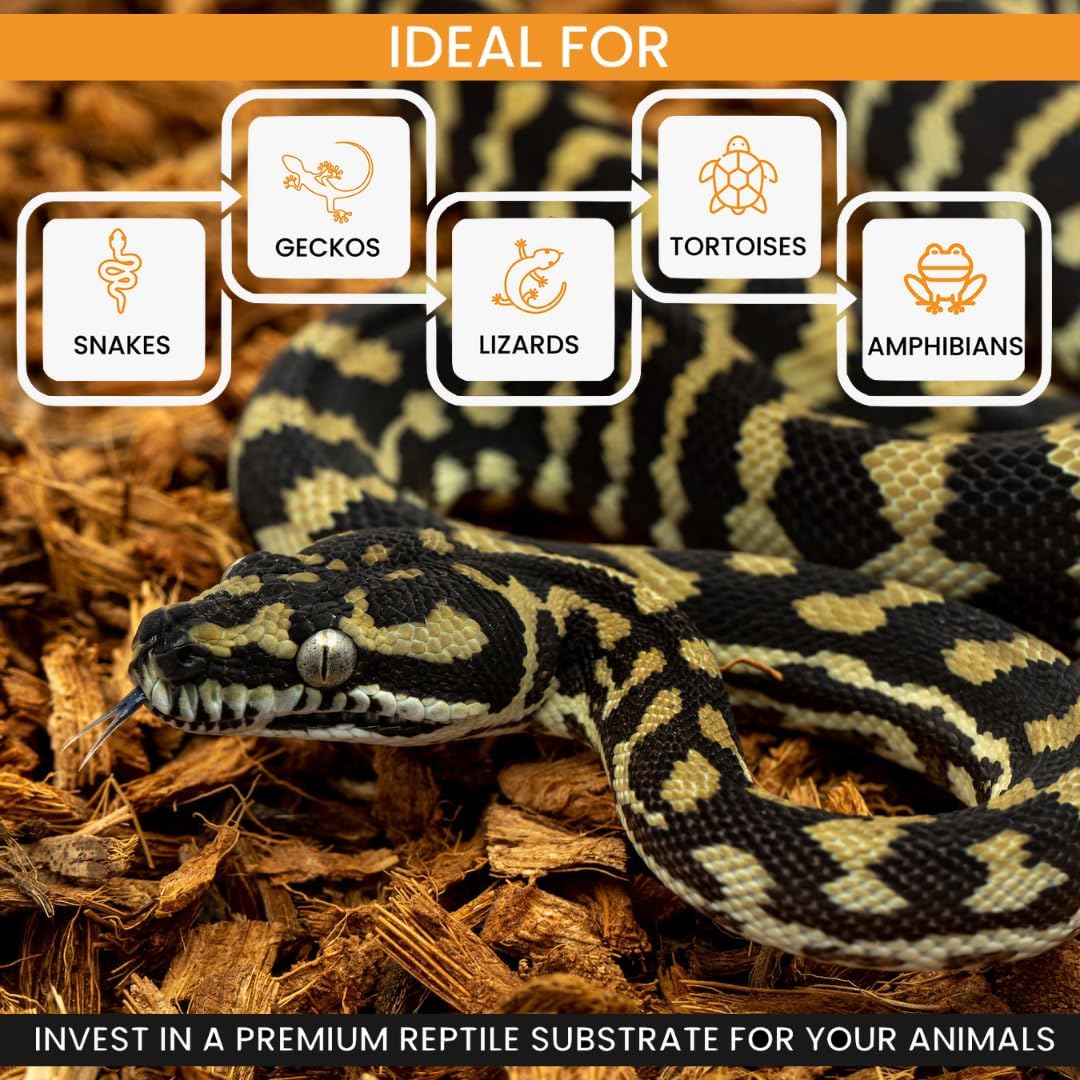 BabiChip Coconut Chip Substrate for Reptiles 12 Quart Loose Small Sized Coco Husk Chip Bedding for Ball Pythons, Other Snakes, Tortoises, Geckos, Frogs, or Lizard Terrarium Tanks