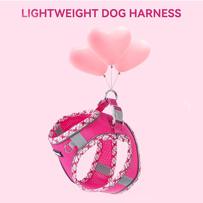 Petank Dog Harness for Small Medium Dogs No Pull, Puppy Harness and Leash Set for Walking, Running, Training, Small Dog Harness, Medium Dog Harness (Rose Red, L)