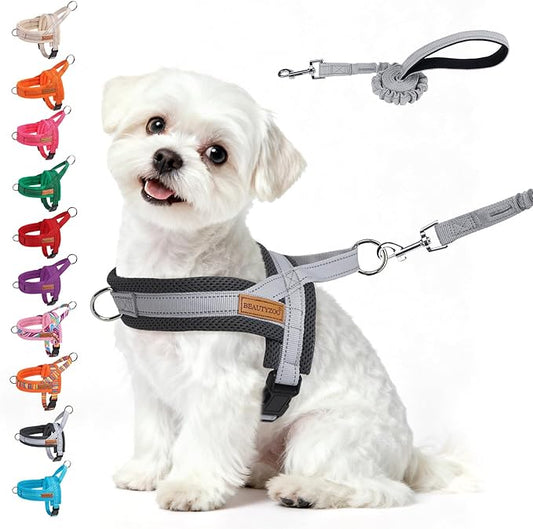 BEAUTYZOO Dog Harness for Small Dogs, No Pull Dog Harness and Leash Set, Soft Escape Proof Puppy Vest Harness with Handle, Reflective Lightweight Step in Harness for Girl Boy Dogs, Grey S