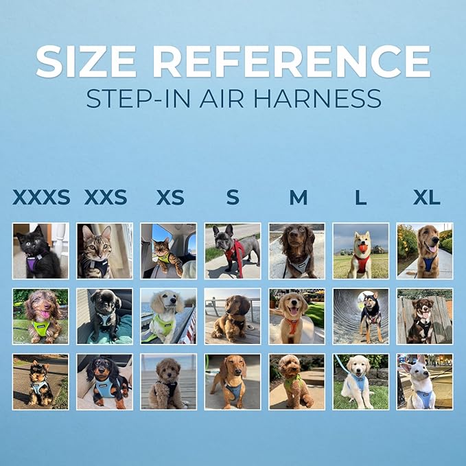 Best Pet Supplies Voyager Step-in Air Harness - All Weather Mesh, Reflective, No Pull Harness for Dogs, Cats - Secure with Hook & Loop Fastener, Buckle, Double D-Rings - Lime Green/Black Trim, L