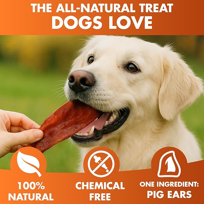 BRUTUS & BARNABY Whole Pig Ears for Dogs, 100 Ct. – All-Natural Single Ingredient Dog Chews, Slow Cooked & Fully Digestible Rawhide Alternative