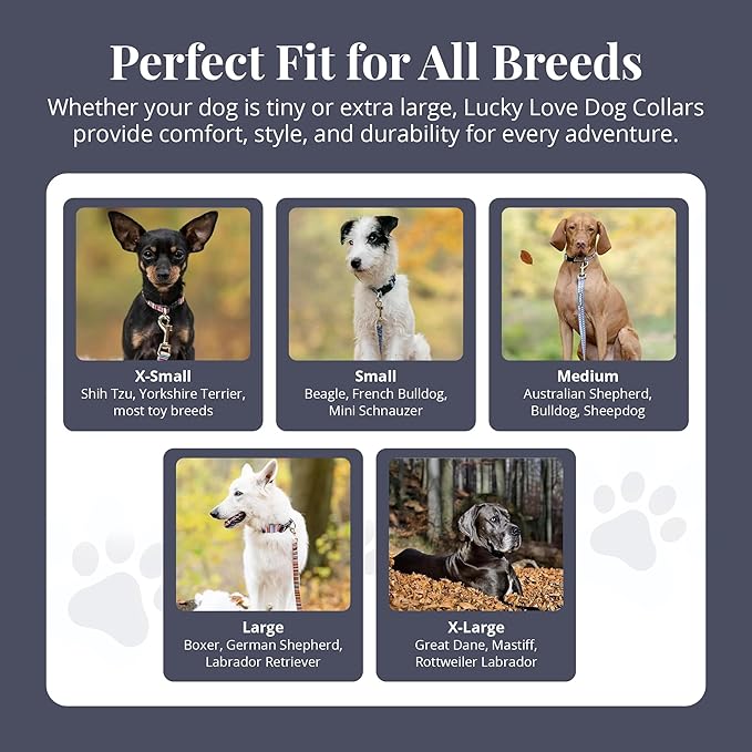 Lucky Love Dog - Adjustable Dog Collar with Easy Click Buckle for Large Dogs, Durable, & Comfortable Collar for Male & Female Dogs, Pet Collar for Puppies & Adult Dogs - Zuzu, Large